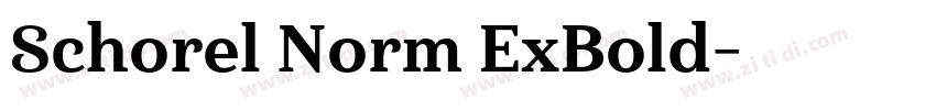 Schorel Norm ExBold字体转换 Schorel Norm ExBold字体转换